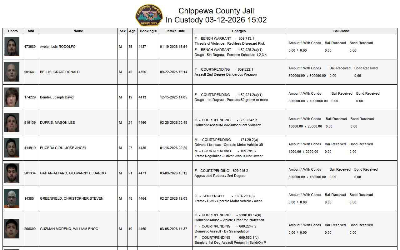 Chippewa County in-custody list showing booking records and arrest information