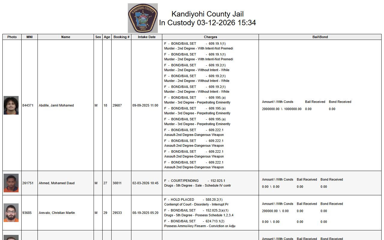 Kandiyohi County in-custody report showing current jail inmates and arrest records