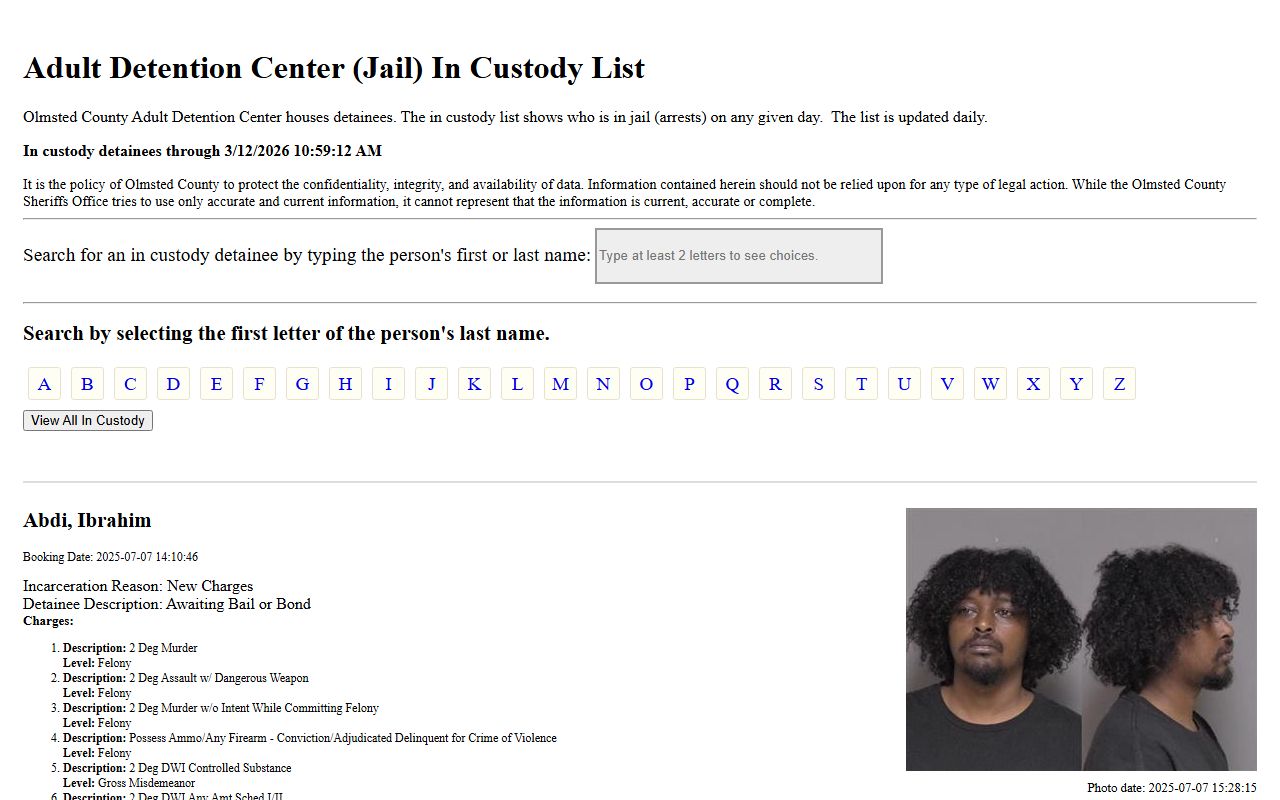 Olmsted County in-custody list showing current jail detainees and booking details