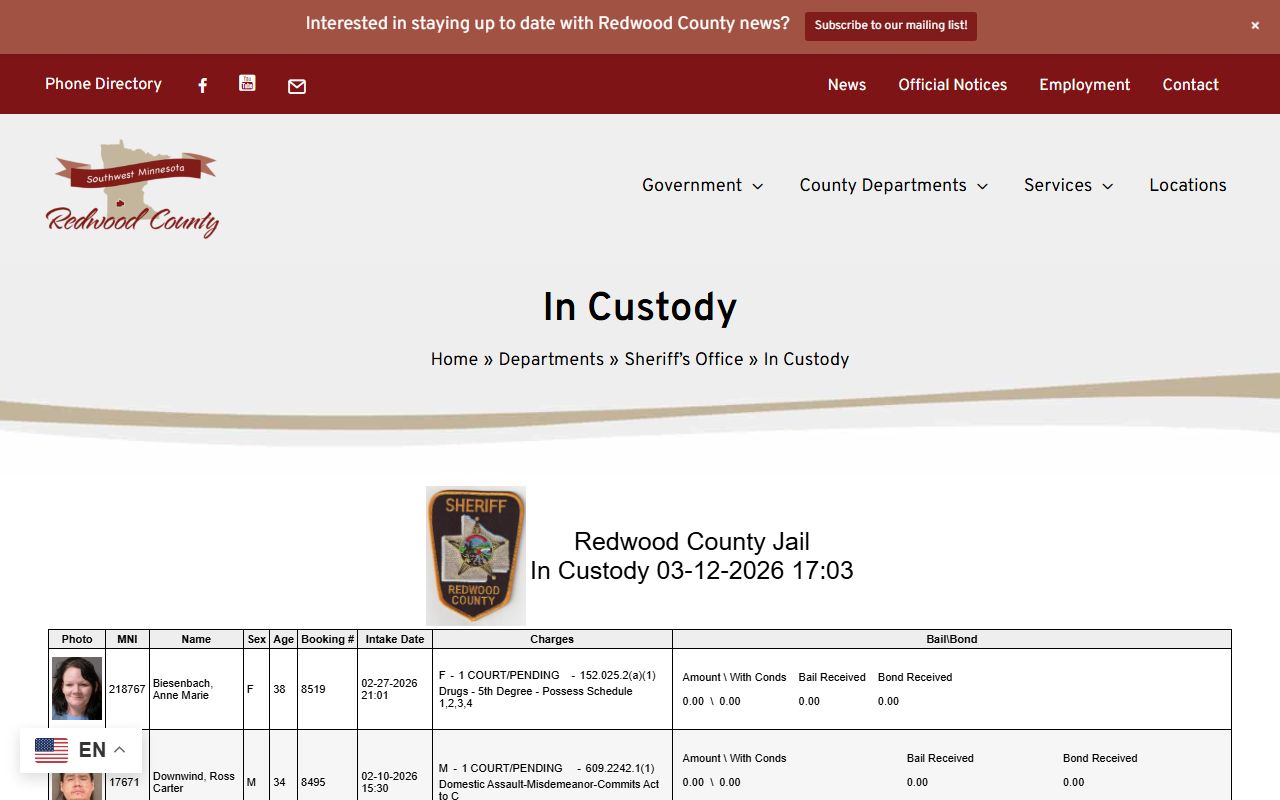 Redwood County Sheriff in-custody inmate list