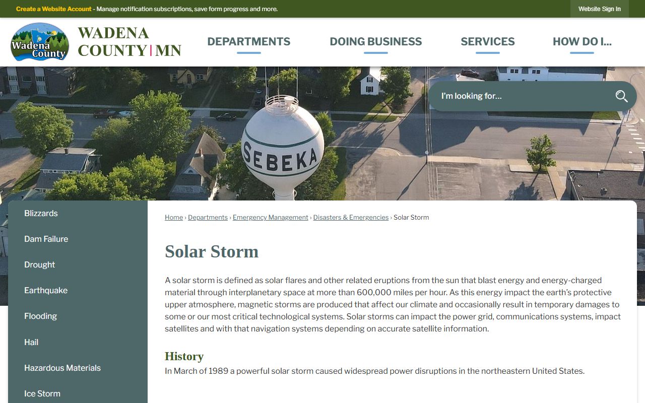 Wadena County inmate roster page showing current detention and arrest records